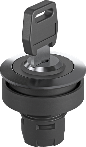 Schlegel SLEUTELSCHAKELAAR D=22,3mm IP65 sleutel 201